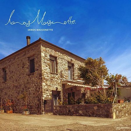 Ianos Maisonette Paralia Sergoulas Экстерьер фото