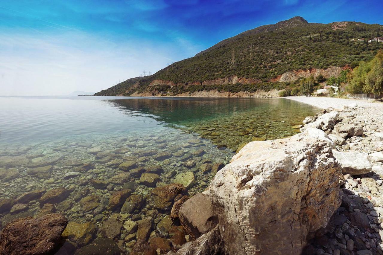 Ianos Maisonette Paralia Sergoulas Экстерьер фото